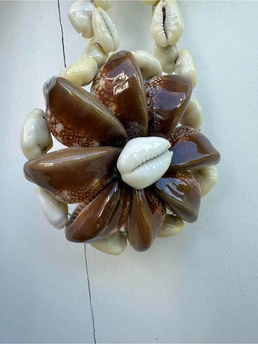Balanced Cats Paw Cowrie Lei